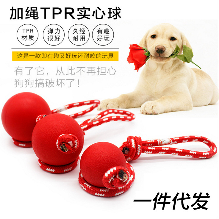 寵物狗狗玩具球穿繩球訓練球磨牙實心球金毛泰迪耐咬球穿繩彈力球